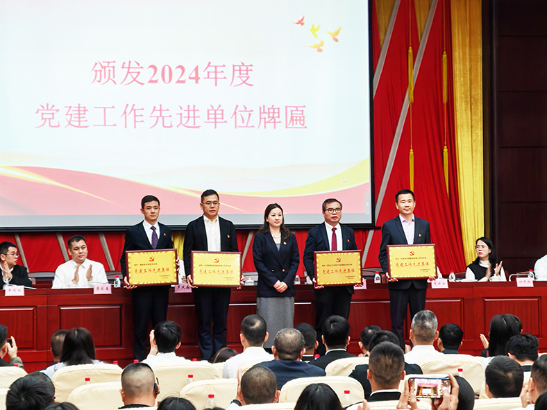 三正房地產(chǎn)黨支部：榮獲“2024年度塘廈鎮(zhèn)黨建工作先進(jìn)單位”稱(chēng)號(hào)